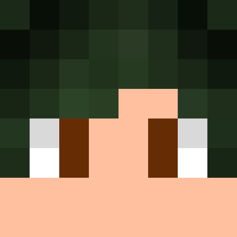 TheCuriousMiner's skin