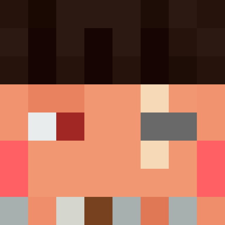 BukkitAPI's skin