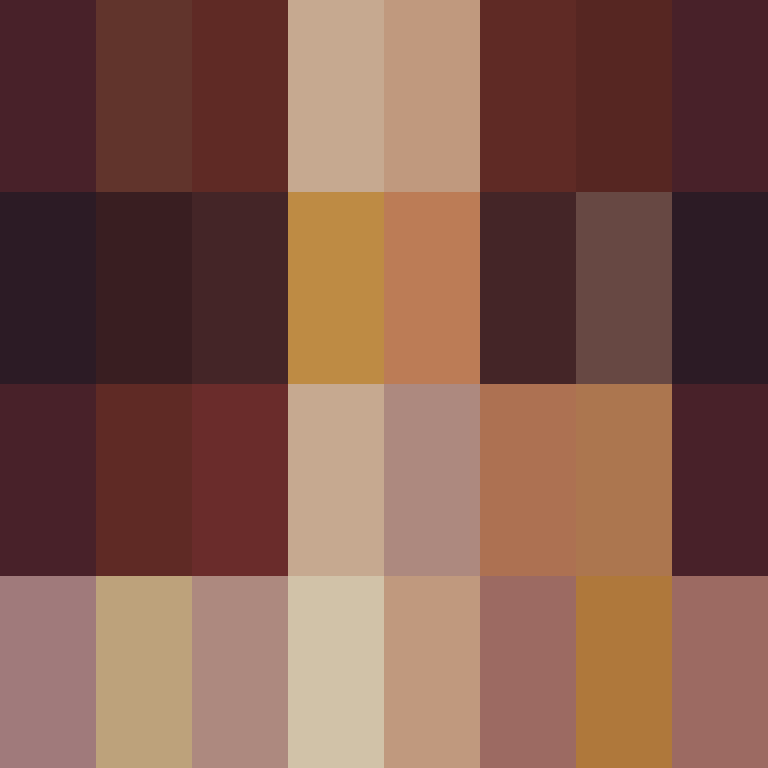 acin5's skin