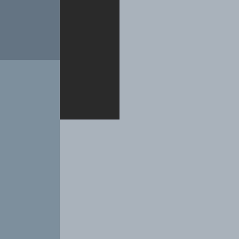 CeilingBird's skin