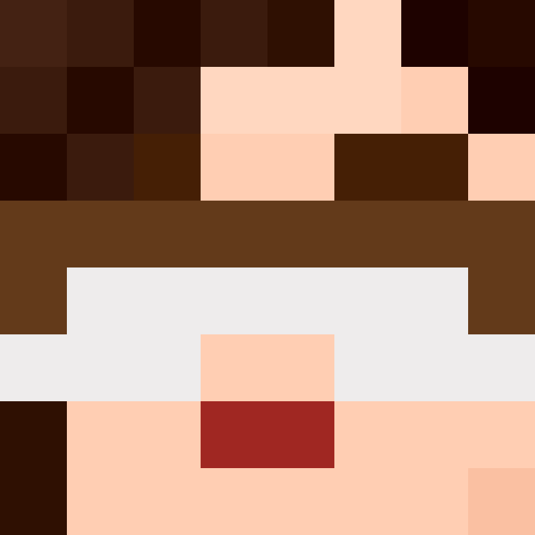 BukkitAPI's skin