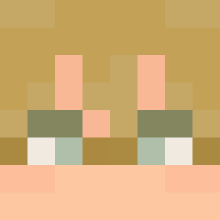 TheCuriousMiner's skin
