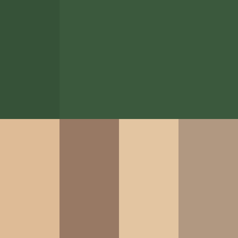 bigibas123's skin