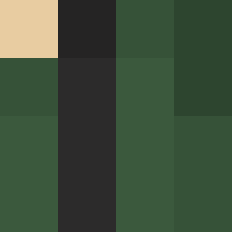 Notro_Client's skin