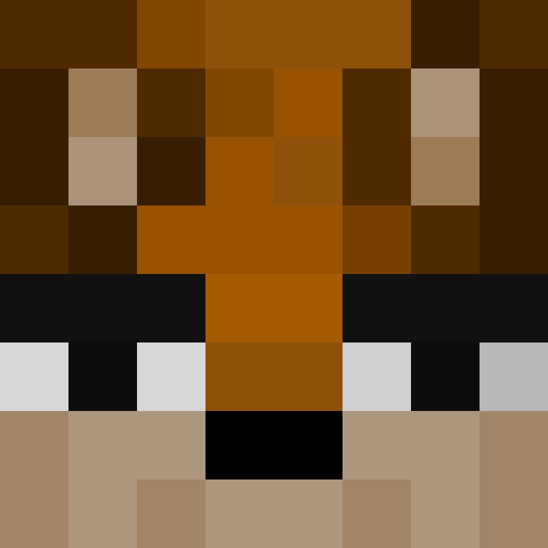 8aca680b22461340's skin