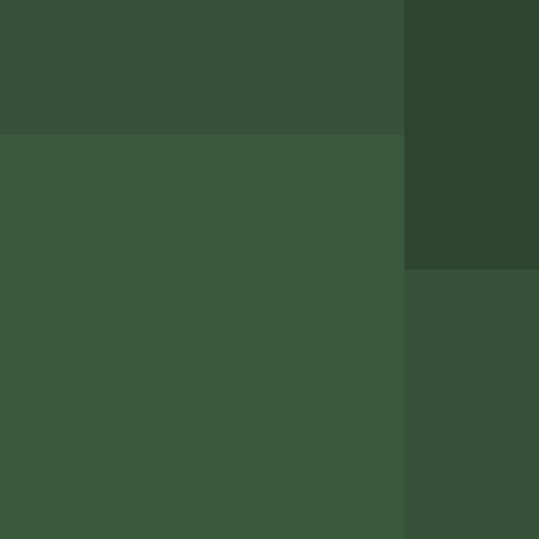 PtakopyskCZ's skin