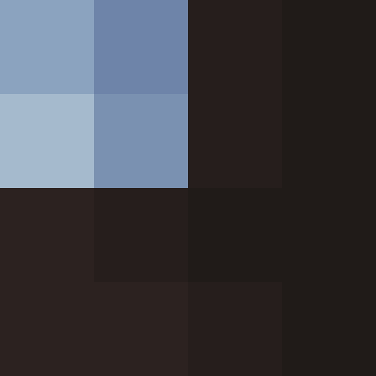 CeilingBird's skin