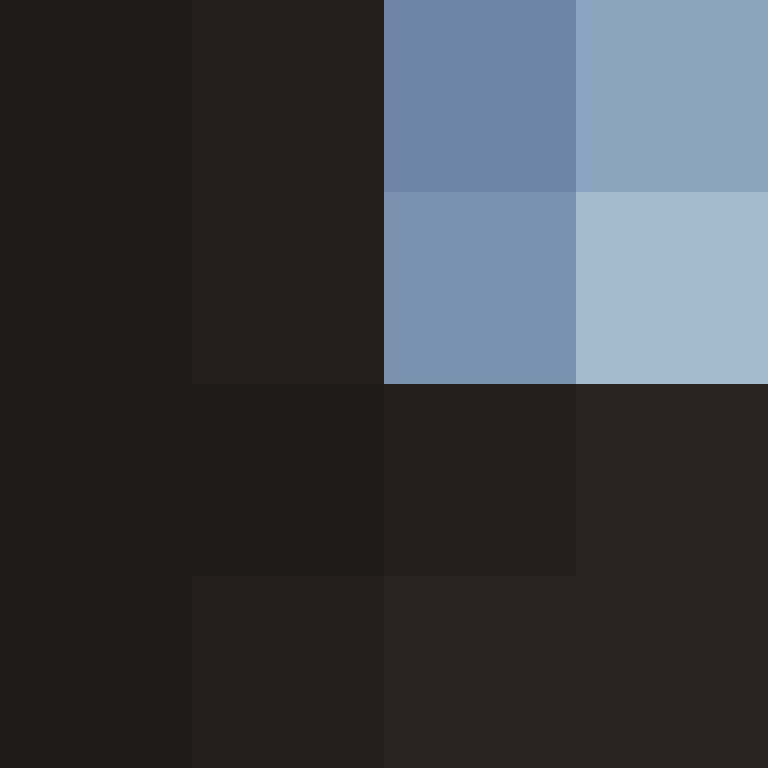 PtakopyskCZ's skin