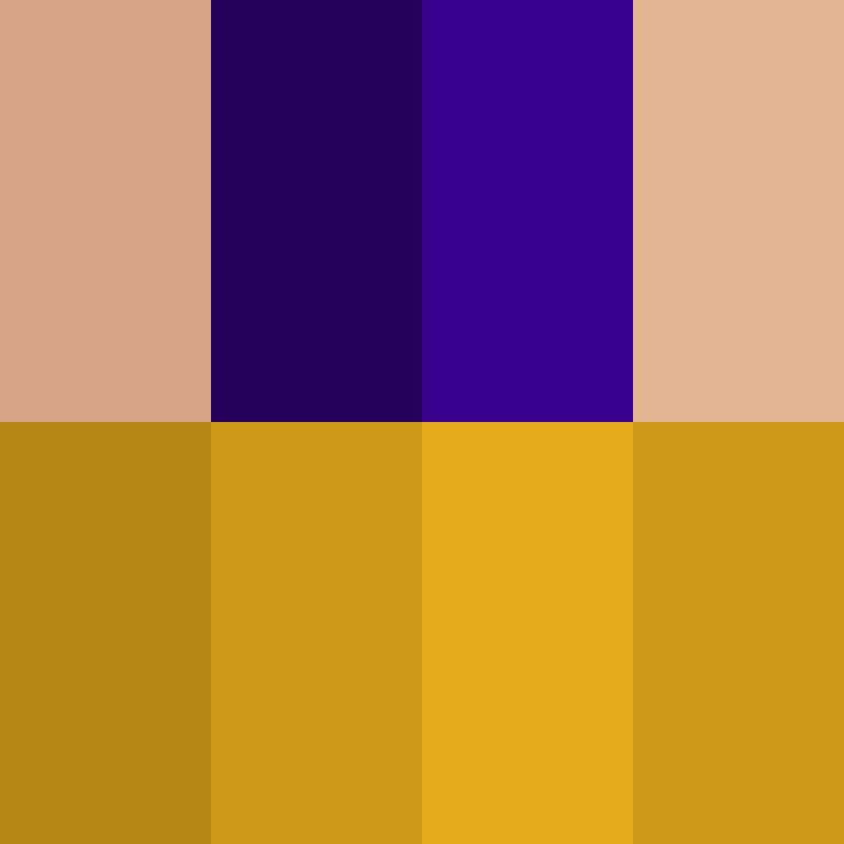 v4r1n's skin