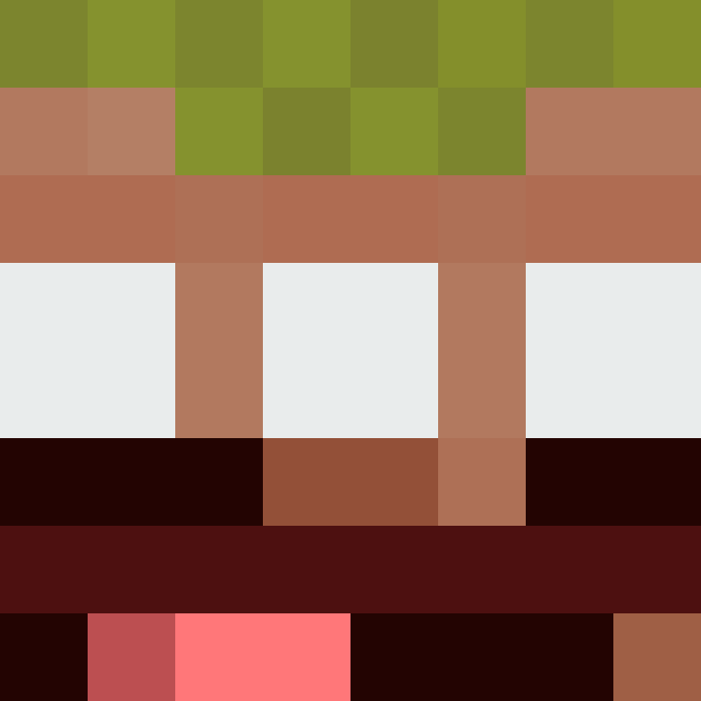 h4yl33's skin