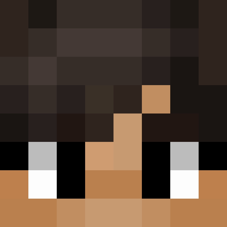 wiredframe's skin
