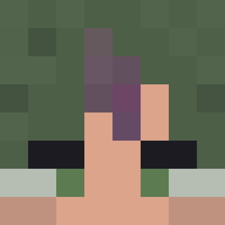 8aca680b22461340's skin