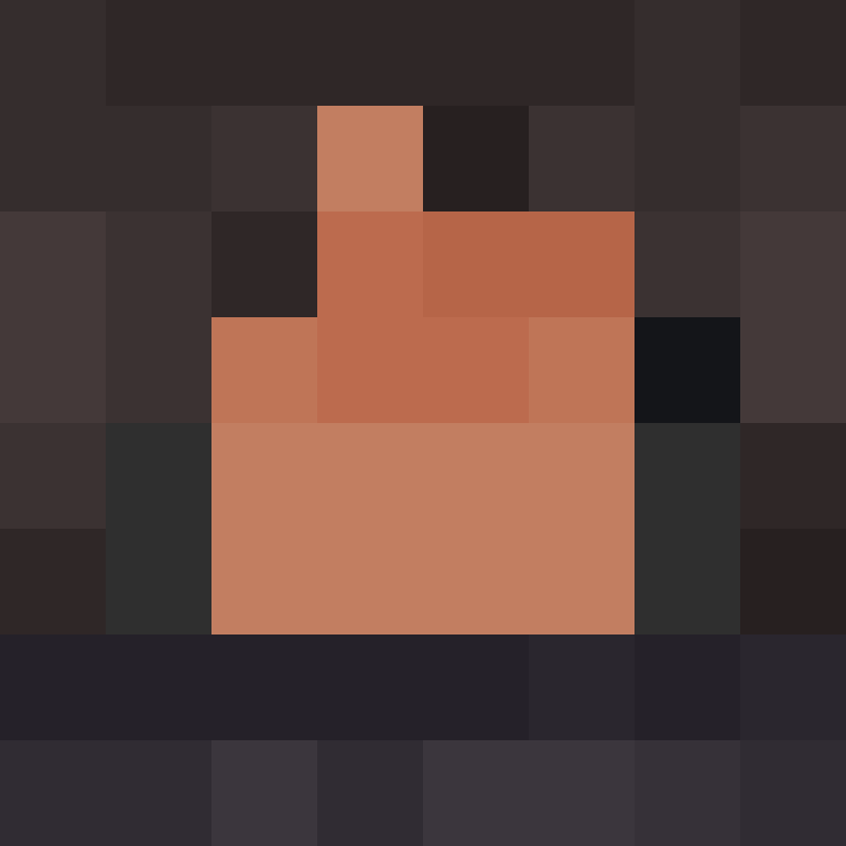 BukkitAPI's skin