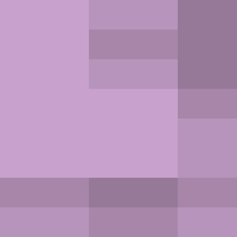 AutoSkin's skin