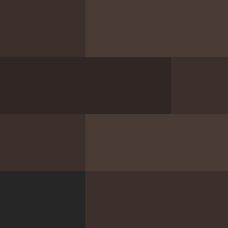 dragloner's skin