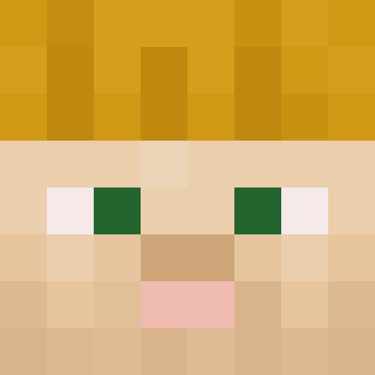 TheCuriousMiner's skin