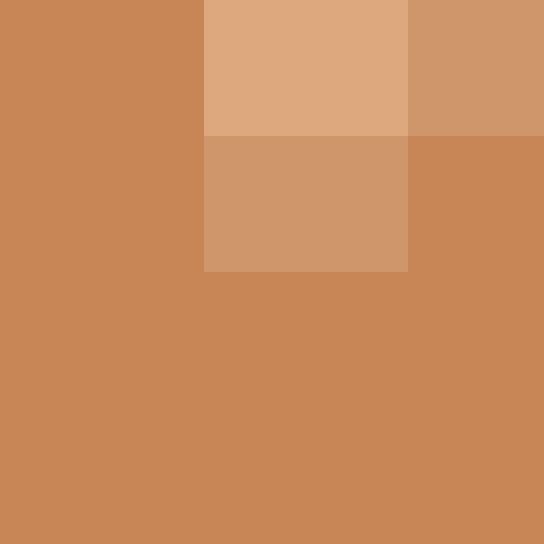 MHF_Mineskin's skin
