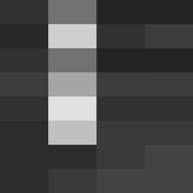 Cartizoll's skin
