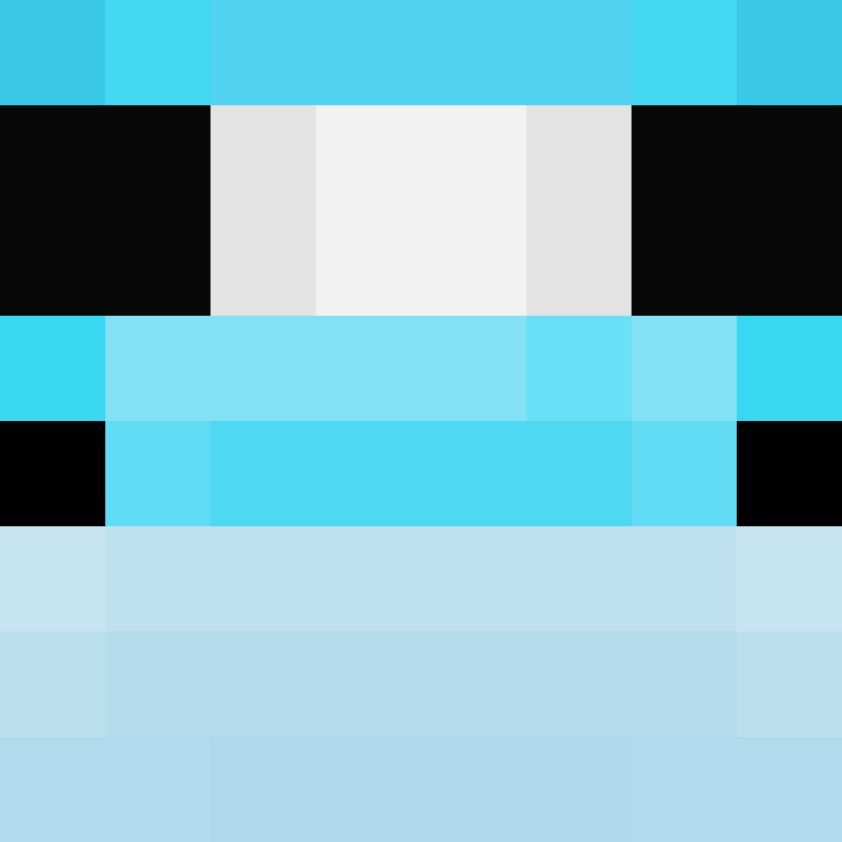 PtakopyskCZ's skin