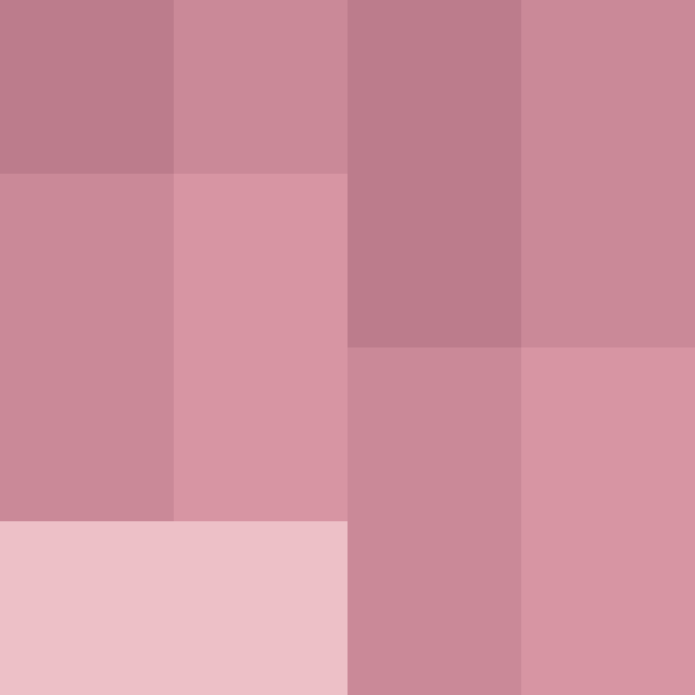 AutoSkin's skin