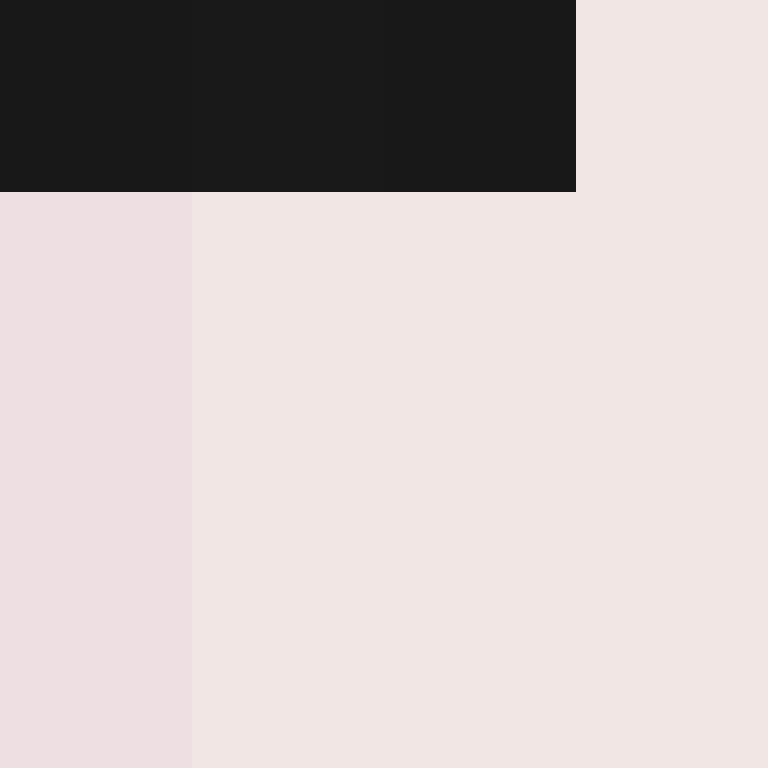 CeilingBird's skin