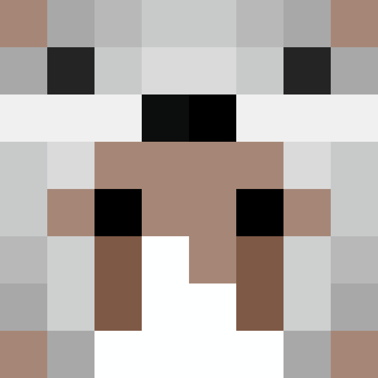 AutoSkin's skin