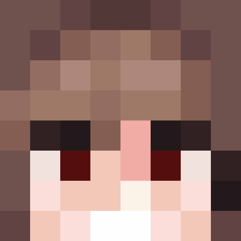 BukkitAPI's skin