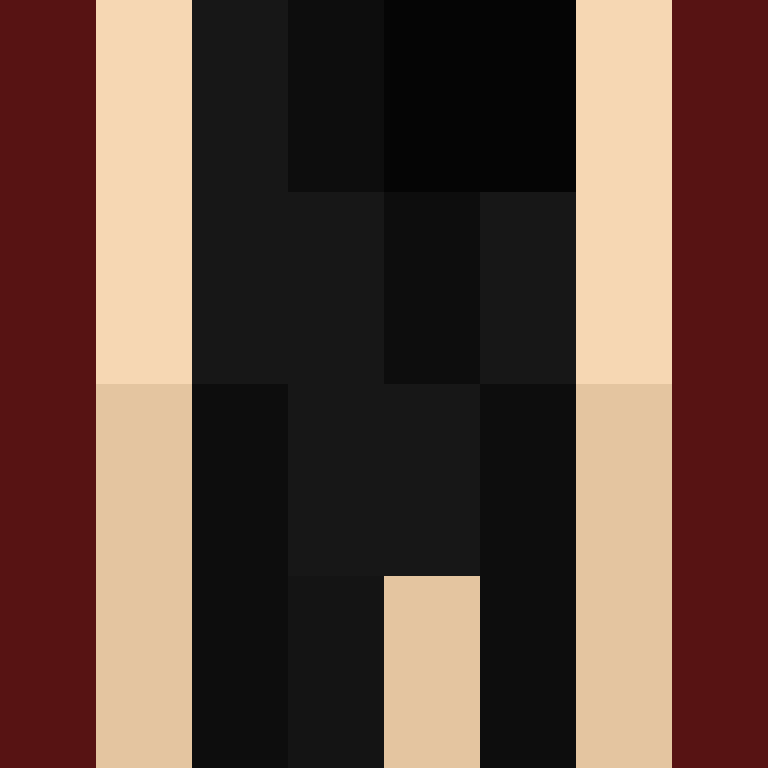 deminecrafterlol's skin