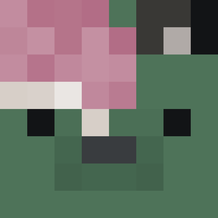 DargiV's skin