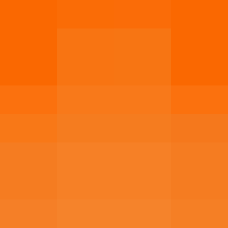 Cartizoll's skin