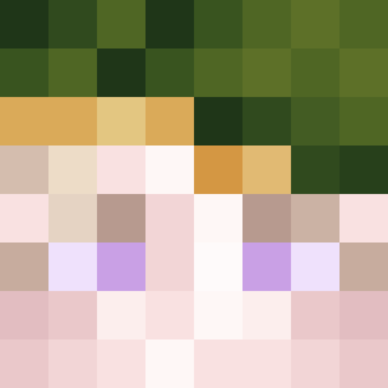 SkinEnthusiast's skin