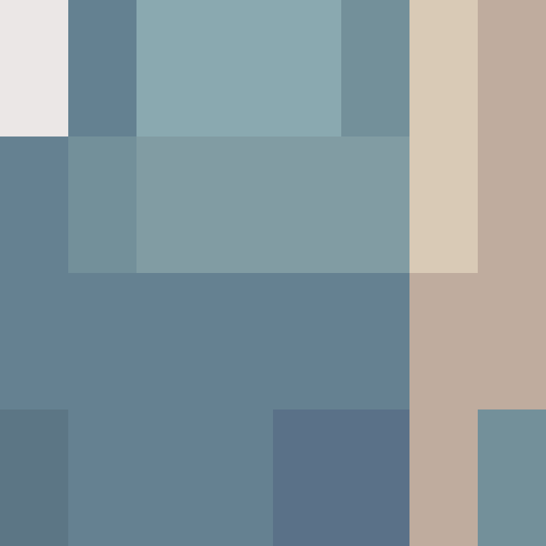 TheCuriousMiner's skin