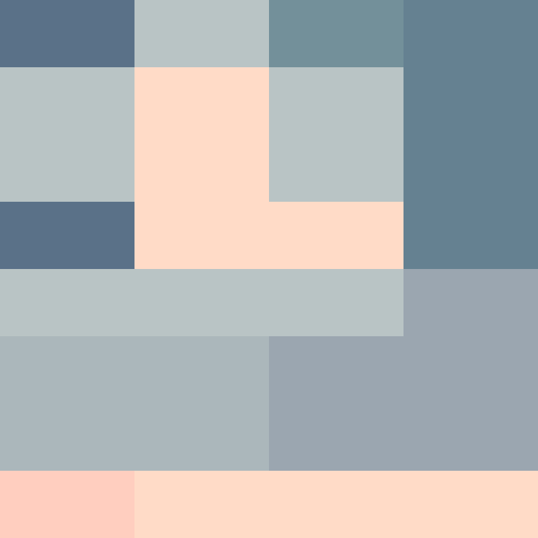 CeilingBird's skin