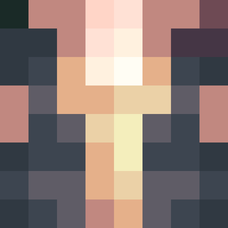 8aca680b22461340's skin