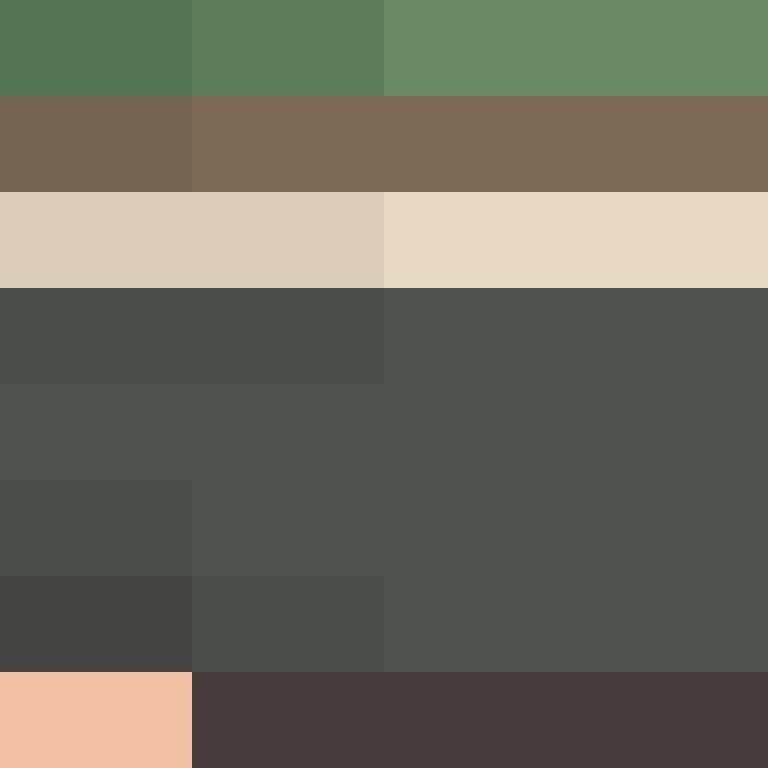 bigibos321's skin