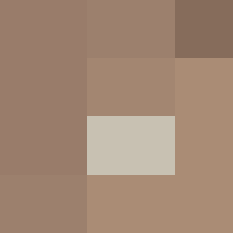 Tsunei's skin