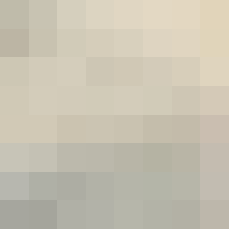 odavidcesar's skin