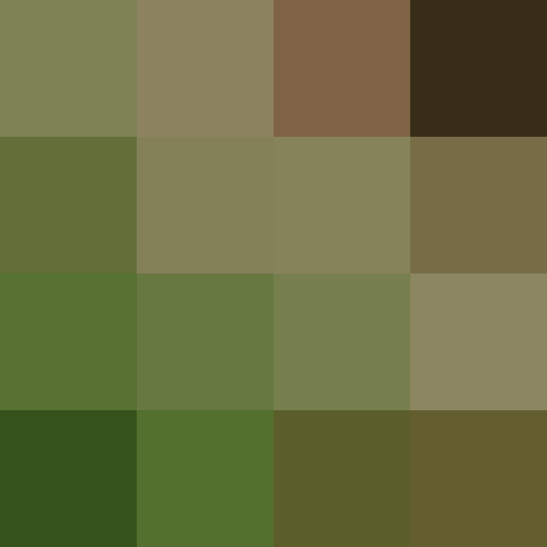 Lenticchie's skin