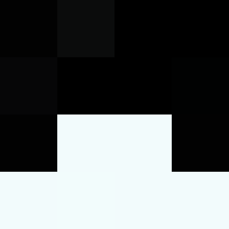 Cartizoll's skin