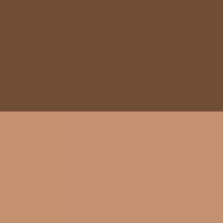 PrinceCR's skin