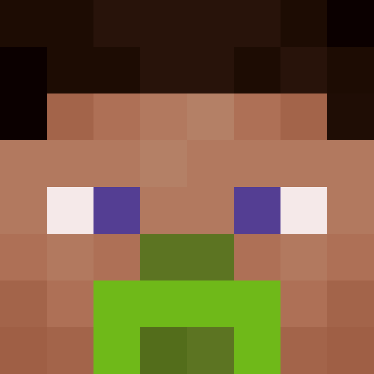 wiredframe's skin