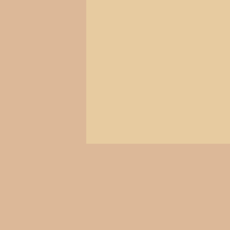 DonaldTrump42's skin