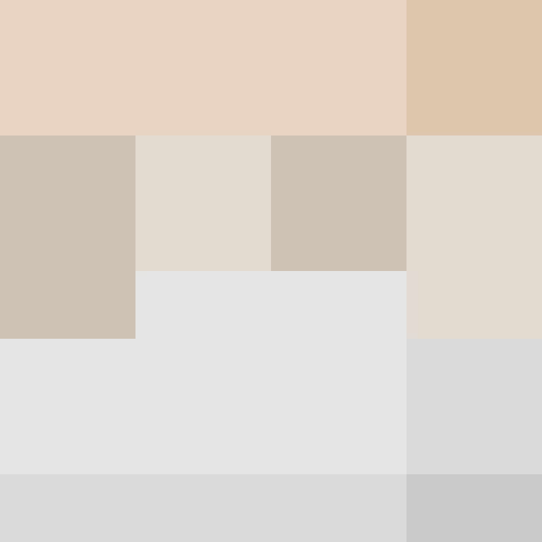 IAmSpadeFan's skin