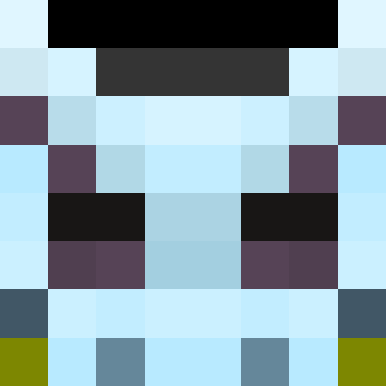 SkinEnthusiast's skin