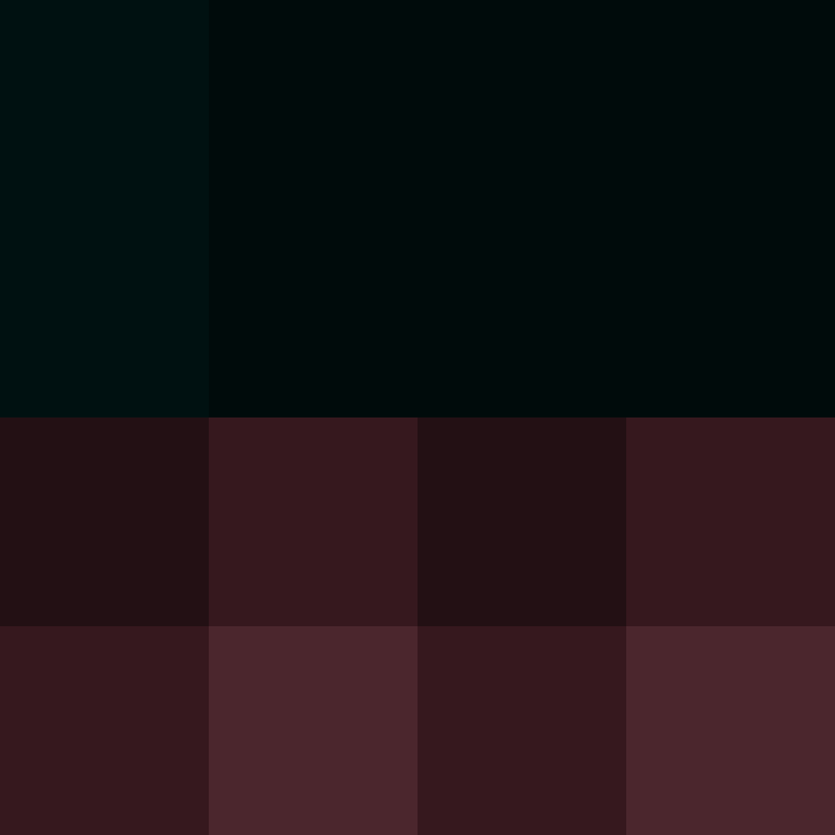 v4r1n's skin