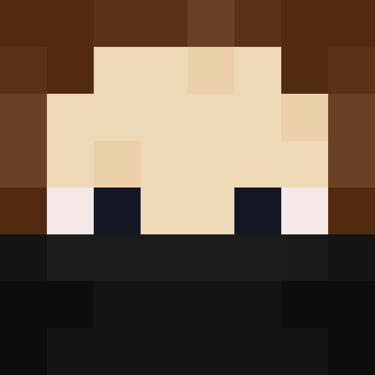BukkitAPI's skin