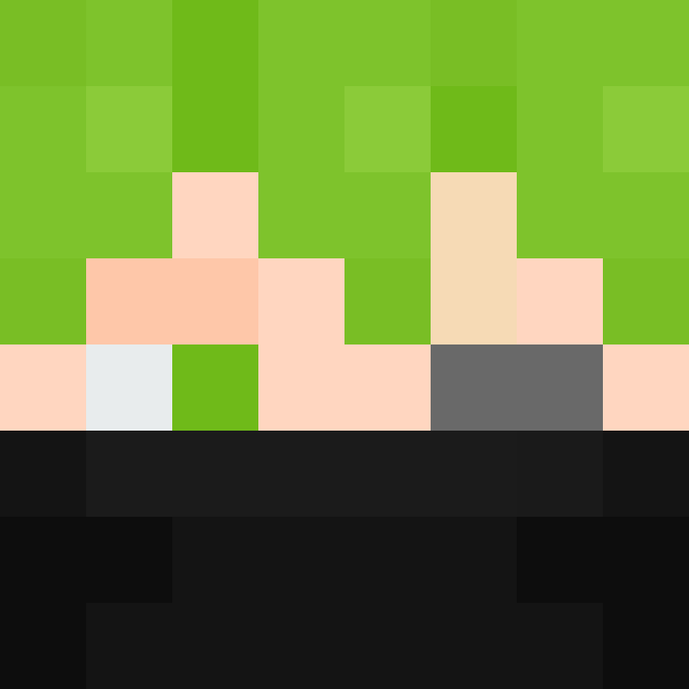 CeilingBird's skin