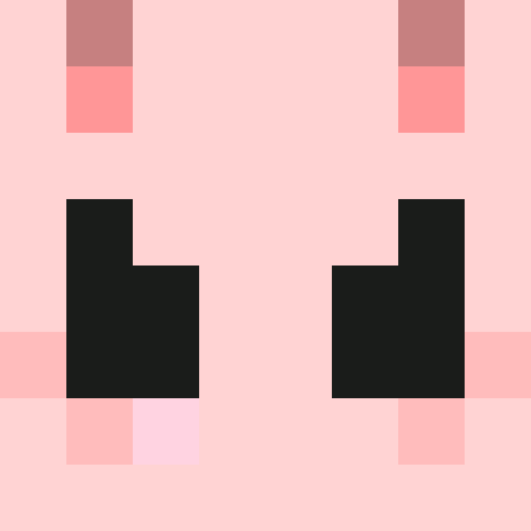 PtakopyskCZ's skin