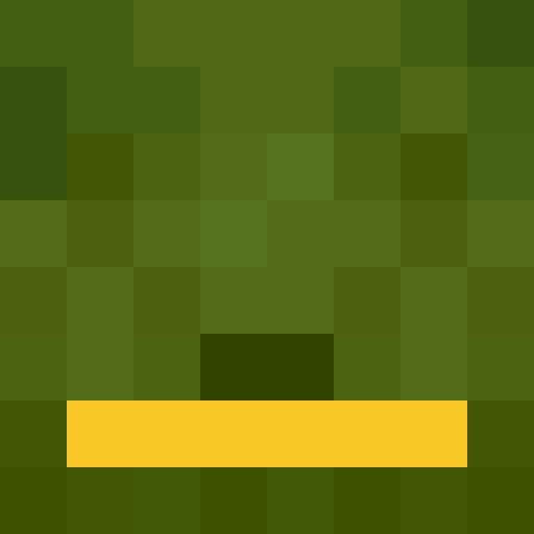 BukkitAPI's skin