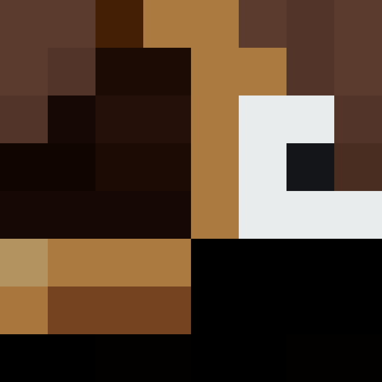 wiredframe's skin